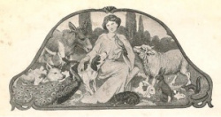 entry picture