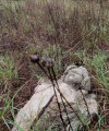 entry picture