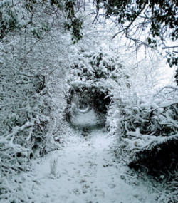 entry picture
