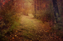 entry picture