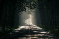 entry picture