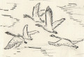 entry picture