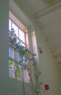 entry picture