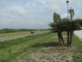 entry picture