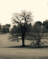 entry picture
