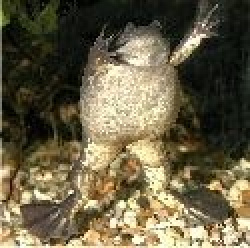 entry picture