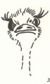 entry picture