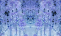 entry picture